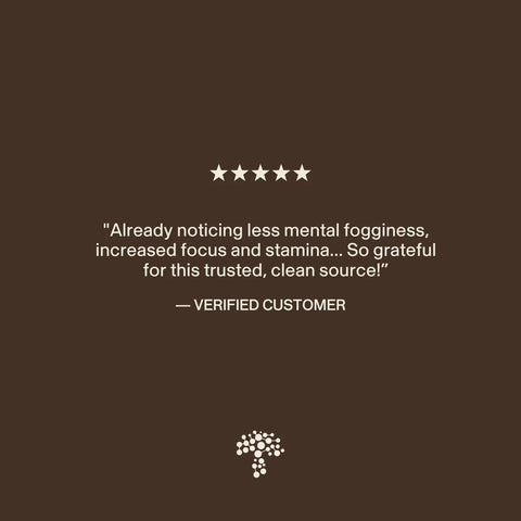 Lion’s Mane Organic Capsules - Focus